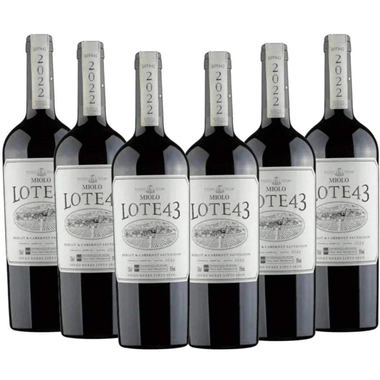 Kit 6 gfas Vinho Miolo Lote 43 Na caixa madeira Personalizada - Imagem 2